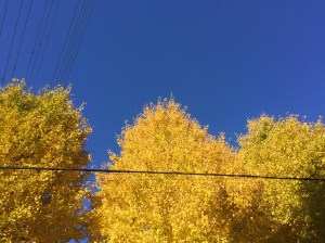 2015-12-05 08.47.36