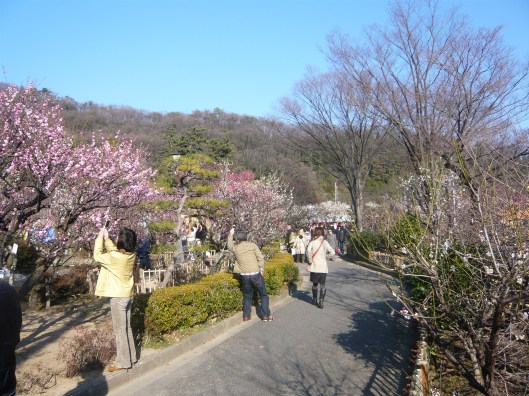 Bairin_Park_02