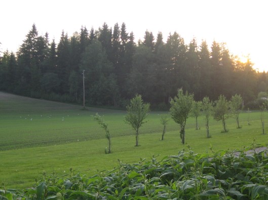 2009-06-11 04.00.49